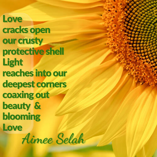 free pdf download Dancing Soul