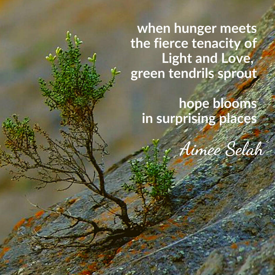 free pdf download Dancing Soul