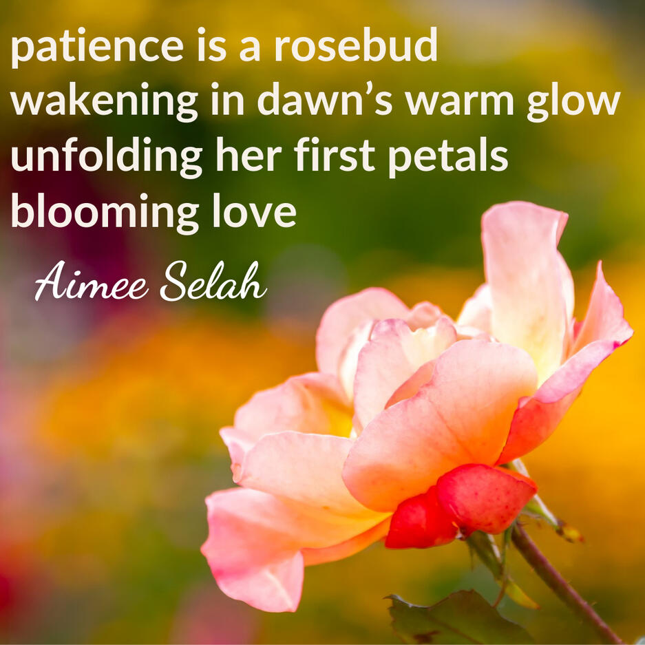 free pdf download Dancing Soul