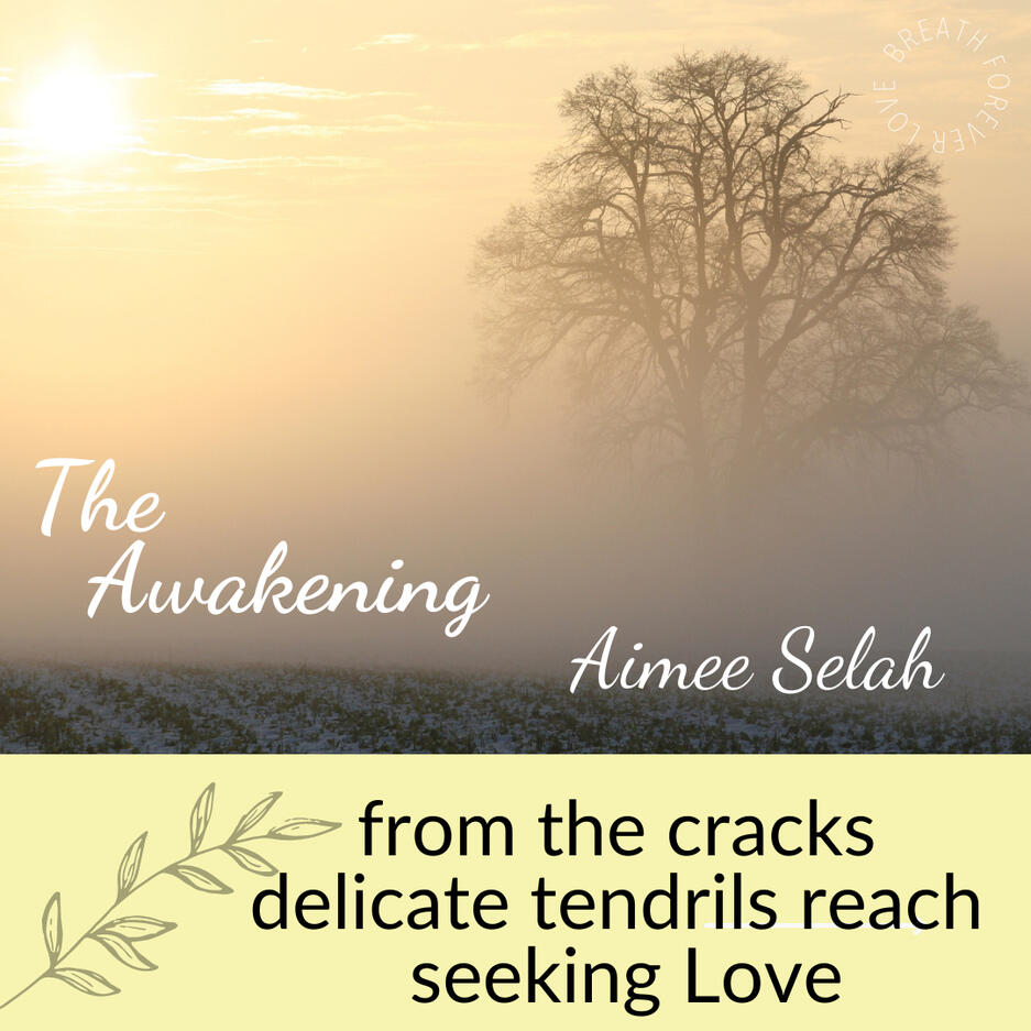 free pdf download Dancing Soul