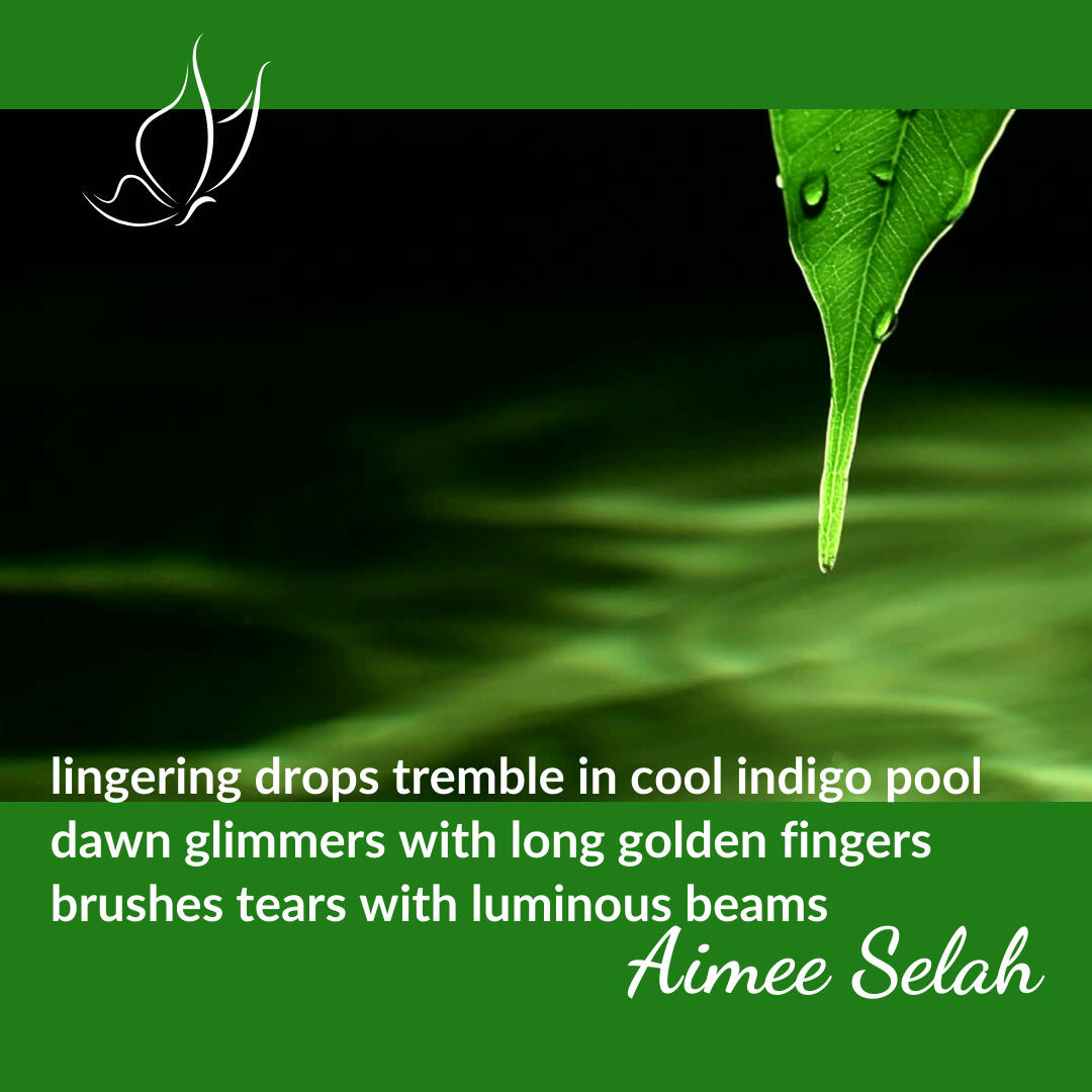 free pdf download Dancing Soul